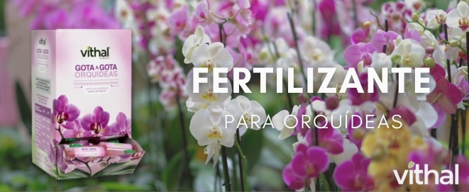 fertilizante para orquideas