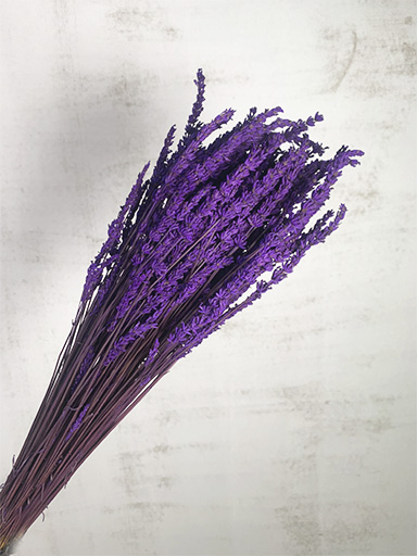 FLORES | almacén de flor - Mayorista de flores. - Liofilizados, Secos y  Ramajes - Liofilizado Verdes - Lavanda Liofilizada 50cm 150g