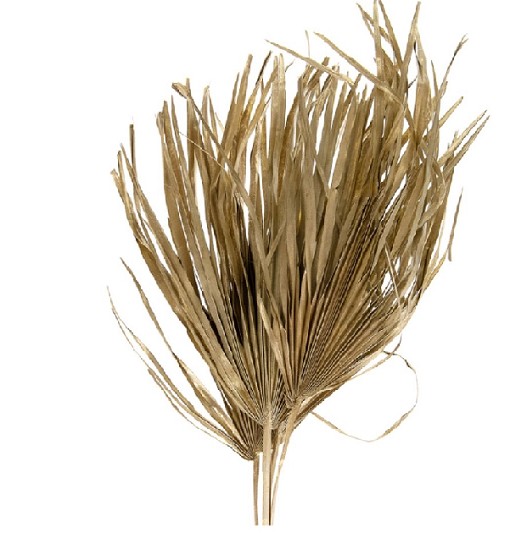 Hoja de Palmera Oro 75cm (5 Tallos)