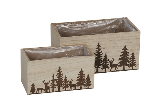 Caja Forest (Set 2uds)