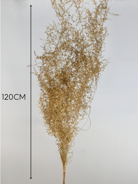 Esparraguera Silvestre Pintada Oro 120cm "T25"