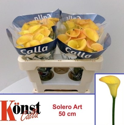 Calla Solero Art 50cm Amarilla