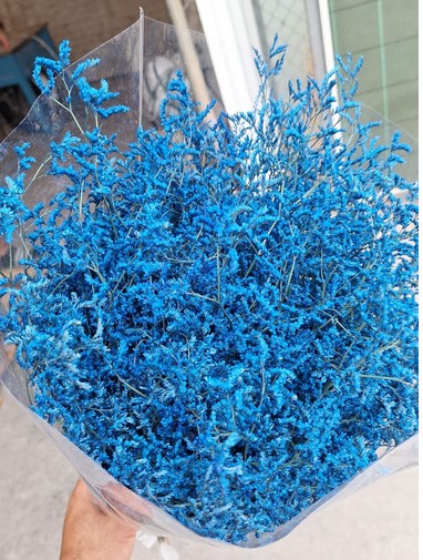 Limonium "Mazo" Chino Tintado Azul 70cm x25