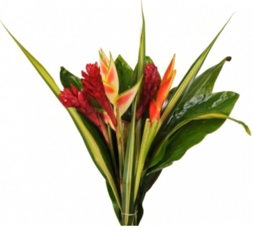 Buquet Col. Tropical N5