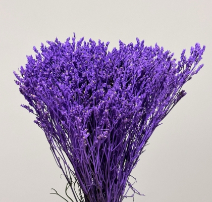 Limonium Col. Pintado Lavanda 70cm x10