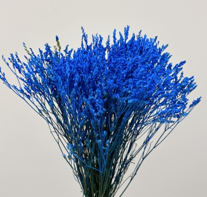 Limonium Col. Pintado Sky Blue 70cm x10