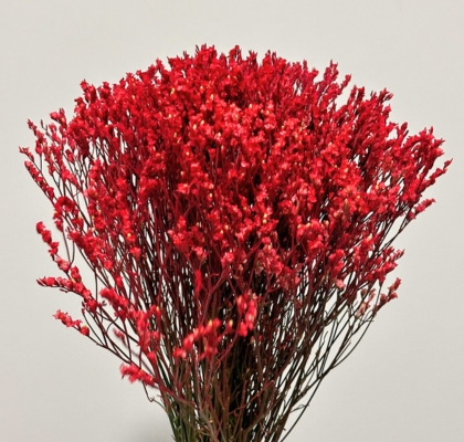 Limonium Col. Pintado Rojo 70cm x10