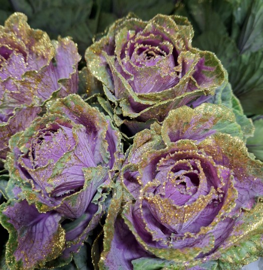 Brassica Nac. Morada Purpurina Oro