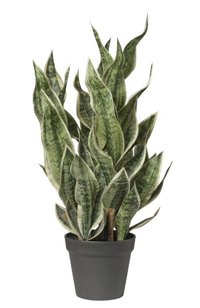 P. Artificial Sansevieria 81Hcm