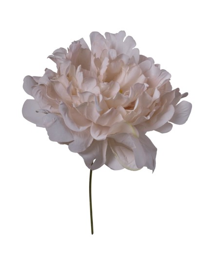 Pick Artificial Peonia Beige "T12" 13x16cm