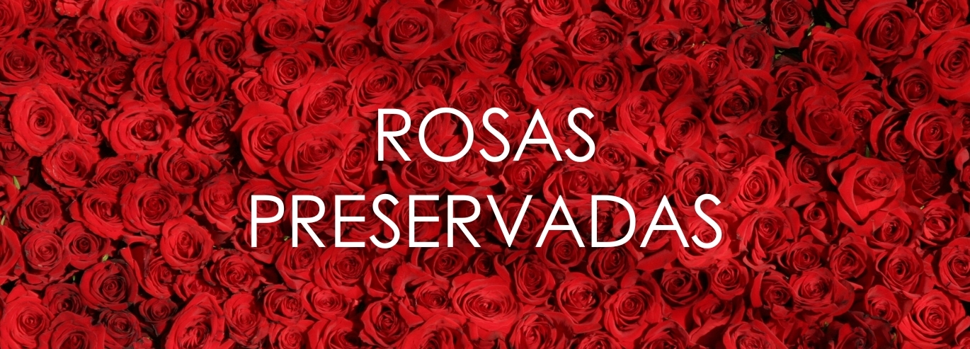 ROSAS PRESERVADAS