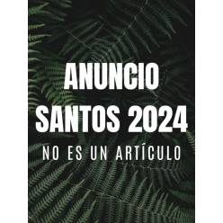 .Hortensias para Santos 2024