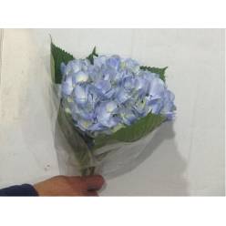 Hortensia Select Azul 60cm 15/16