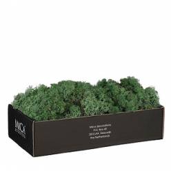 Caja Musgo Preservado Verde Oscuro 500g