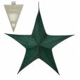 Estrella Aster Verde 34Ax110Lx95Hcm