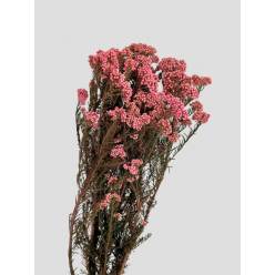 Flor de Arroz Preservada Rosa 50-60 120g