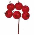 Pick Apple Rojo 10Hcm (6 Tallos)