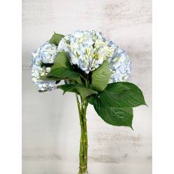 Hortensia Col. Select Azul 60cm 16 "CC40"