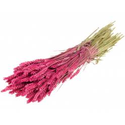 Trigo Seco Cerise 65cm 300g