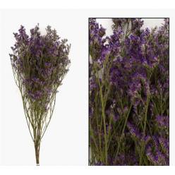 Limonium Seco Morado 45cm 40g