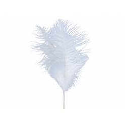 Plumas Ganso Blanco 50cm "T4"