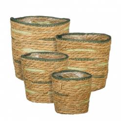 Cesto Tala Natural/Verde (Set 4uds)