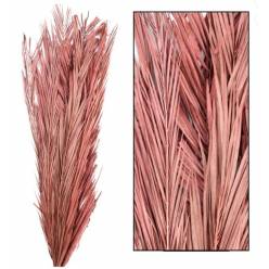 Hojas Khejur Rosa 90cm (5 Tallos)