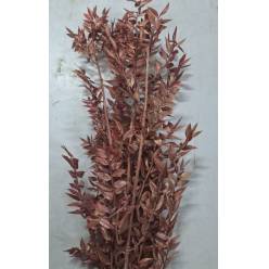 Ruscus Wild Pintado Metal Kupfer 70cm x5