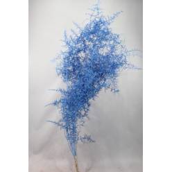 Esparraguera Silvestre Pintada Metal Blue 120cm "T25"