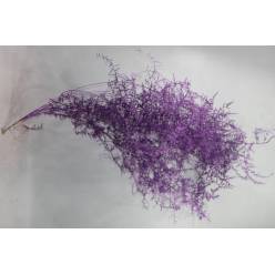 Esparraguera Silvestre Pintada Metal Violet 120cm "T25"