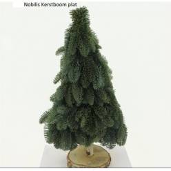 Arbol Abeto Base 40cm