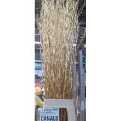 Salix Pintado Oro 140cm