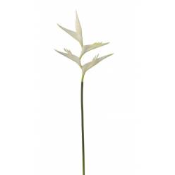 Rama Artificial Heliconia Crema 75cm