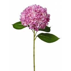 Rama Artificial Hortensia Fucsia 65cm