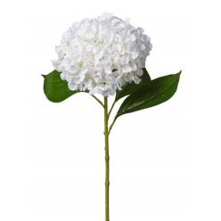 Rama Artificial Hortensia Blanco 65cm