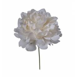 Peonia Artificial Beige "T12" 16cm