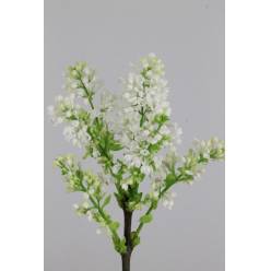 Lilas Madame Stepman Blanca 50cm Paq.