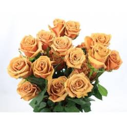 Rosa Ecu. Toffee 70cm (7 Dias - 2)